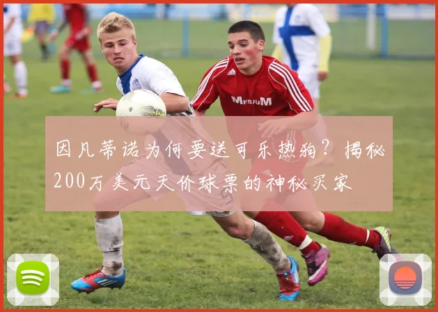 因凡蒂诺为何要送可乐热狗？揭秘200万美元天价球票的神秘买家