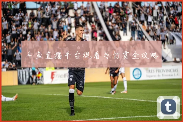 斗鱼直播平台观看与打赏全攻略